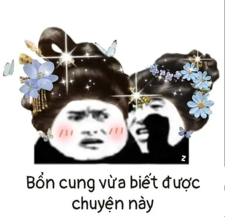 Tặng Em Bông Hoa Meme: Bộ Ảnh Độc Đáo Và Dễ Thương 50