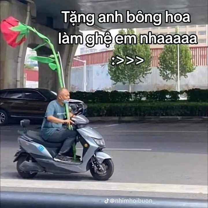 Tặng Em Bông Hoa Meme: Bộ Ảnh Độc Đáo Và Dễ Thương 56