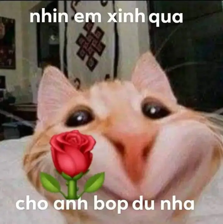 Tặng Em Bông Hoa Meme: Bộ Ảnh Độc Đáo Và Dễ Thương 59