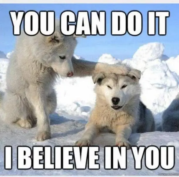 You Can Do It Meme: Động lực cho mọi khó khăn 19